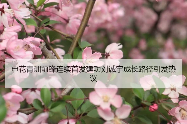 申花青训前锋连续首发建功刘诚宇成长路径引发热议