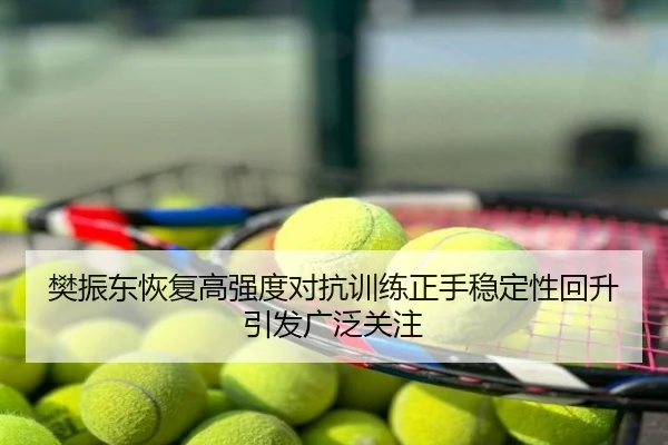 樊振东恢复高强度对抗训练正手稳定性回升引发广泛关注